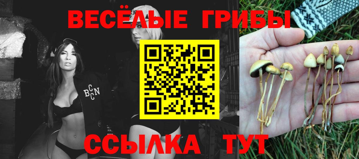 Псилоцибиновые грибы MAGIC MUSHROOMS  Галлюциногенные грибы ЛСД  где продают   Вход с VPN  Кушва 